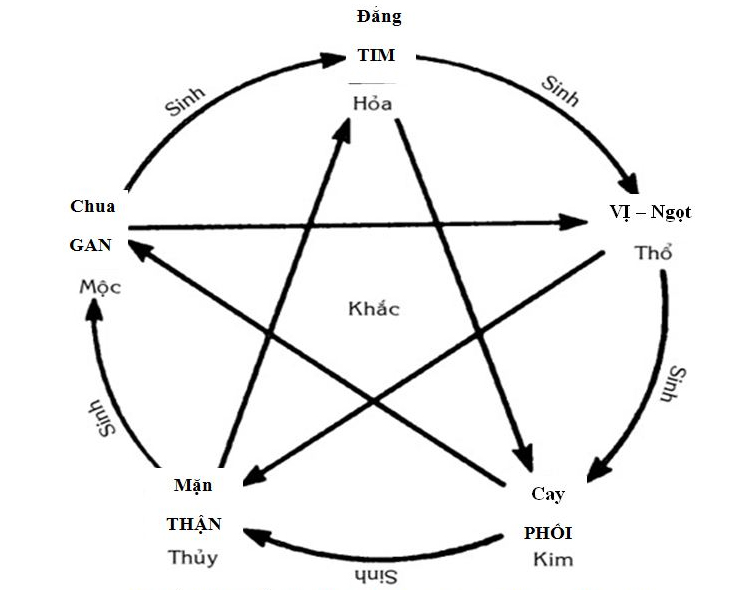 ngũ hành ngũ vị