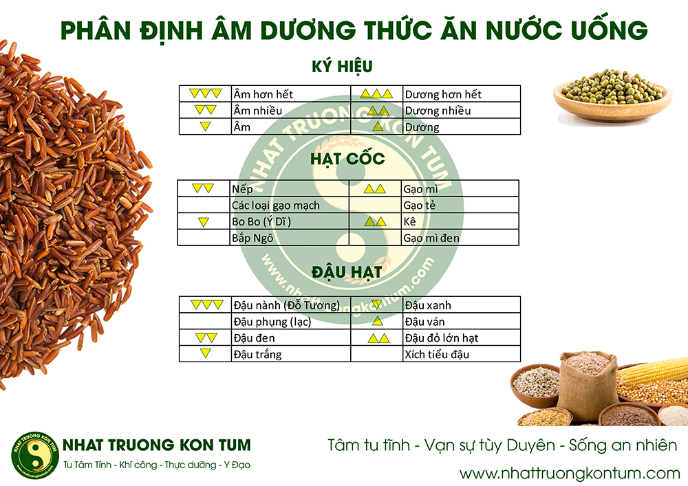 phân định âm dương thức ăn nước uống ohsawa (2)