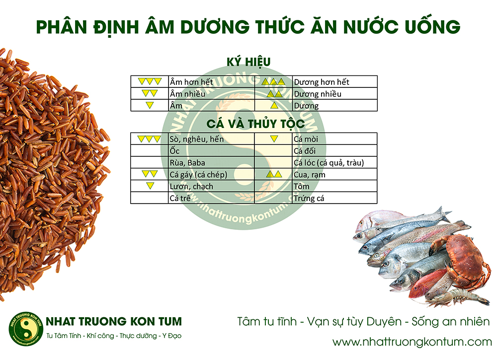 phân định âm dương thức ăn nước uống ohsawa (4)