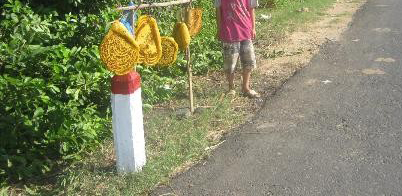 du ban mat ong kem chat luong
