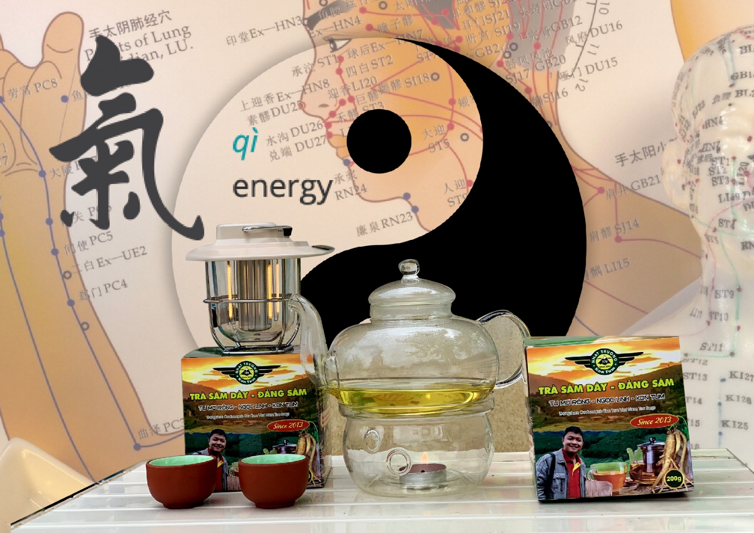 Trà Sâm Dây - Đảng Sâm thức uống năng lượng (Qi) Y Học Cổ Truyền Phương Đông