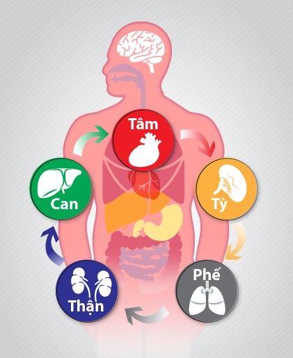 Chứng bi quan, trầm uất, nặng đầu, stress theo quan điểm Đông Y