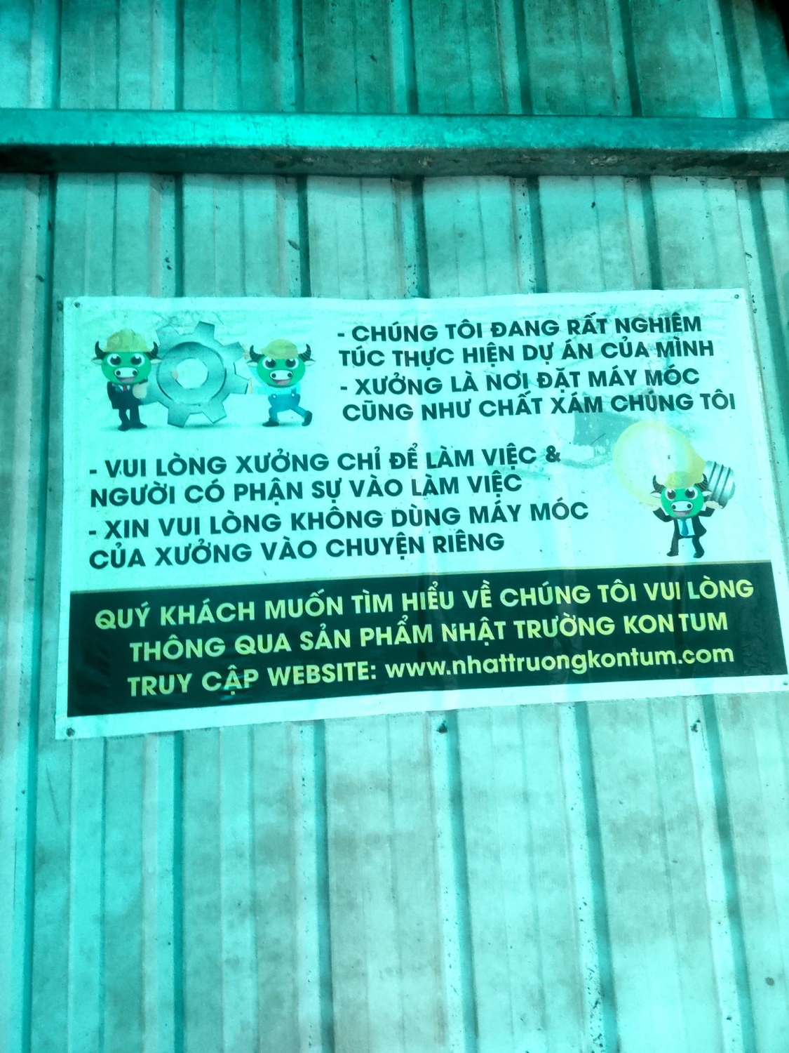 Tay trắng khởi nghiệp Sâm Kon Tum
