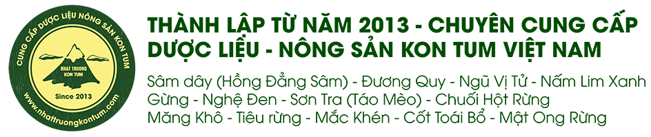 Nhật Trường Kon Tum - Sâm dây (Hồng Đẳng Sâm), Đương Quy,  Ngũ Vị Tử, Nấm Lim Xanh