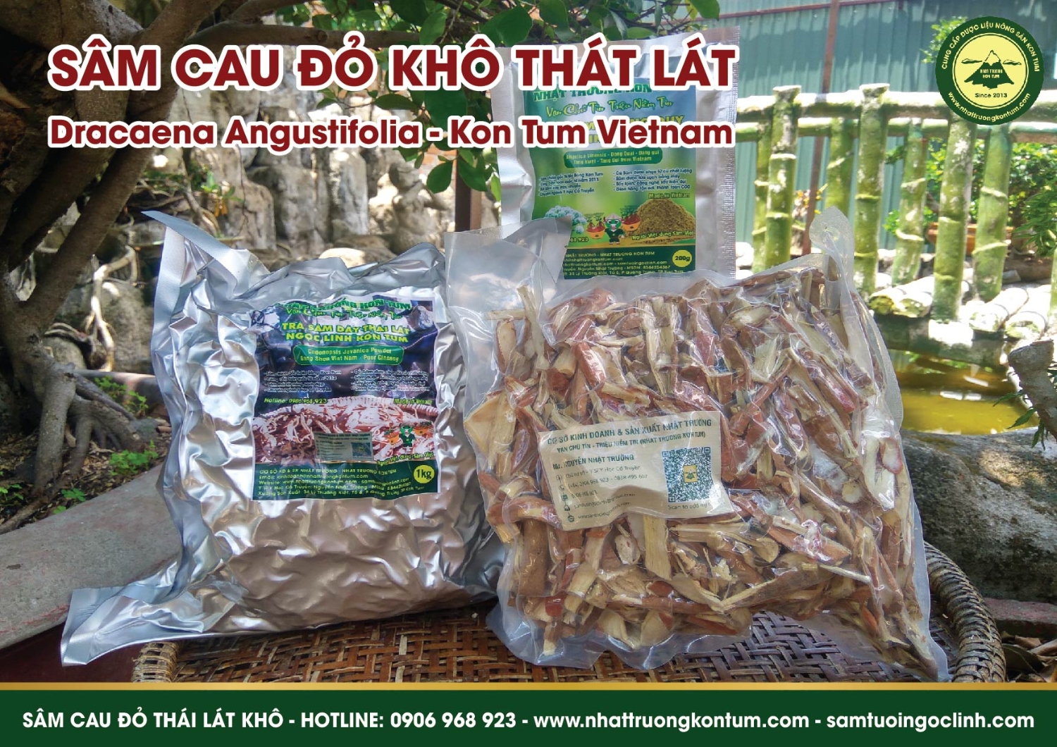 sâm cau đỏ khô kon tum nhật trường 03