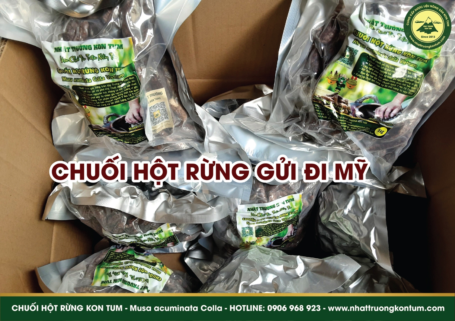 chuoi hot rung nhat truong kon tum gui di my 02