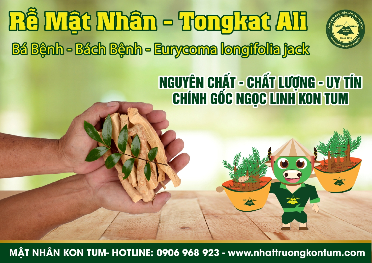 mật nhân thái lát khô nhật trường kon tum 01