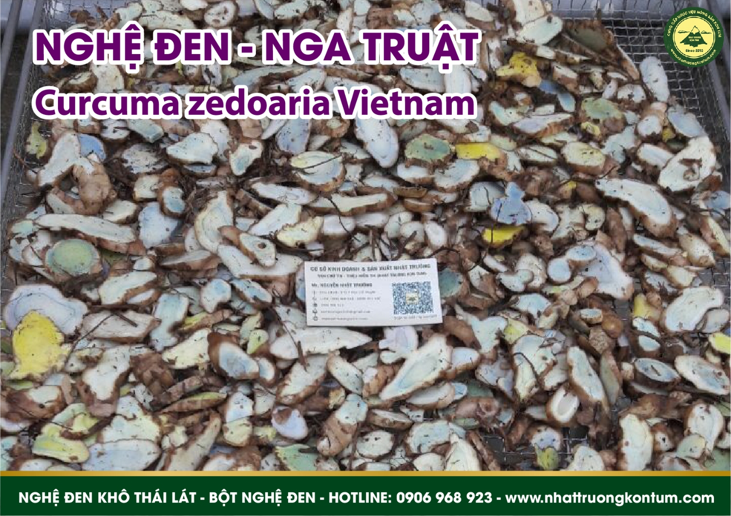 nghệ đen kon tum nhật trường 02