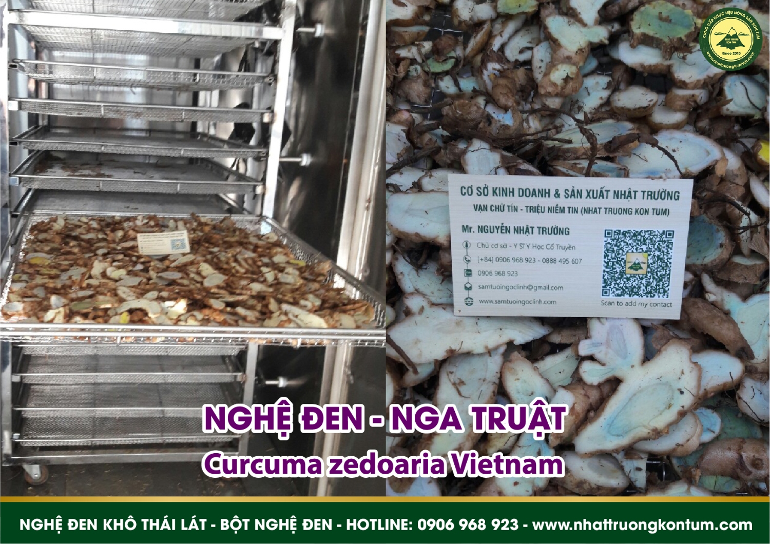 nghệ đen kon tum nhật trường 03