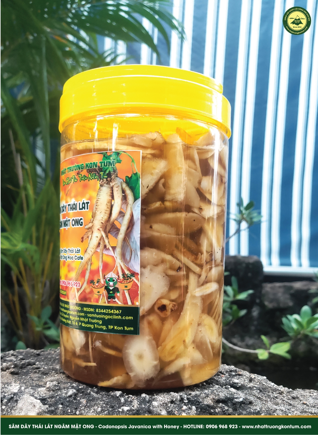 sam day thai lat ngam mat ong 03
