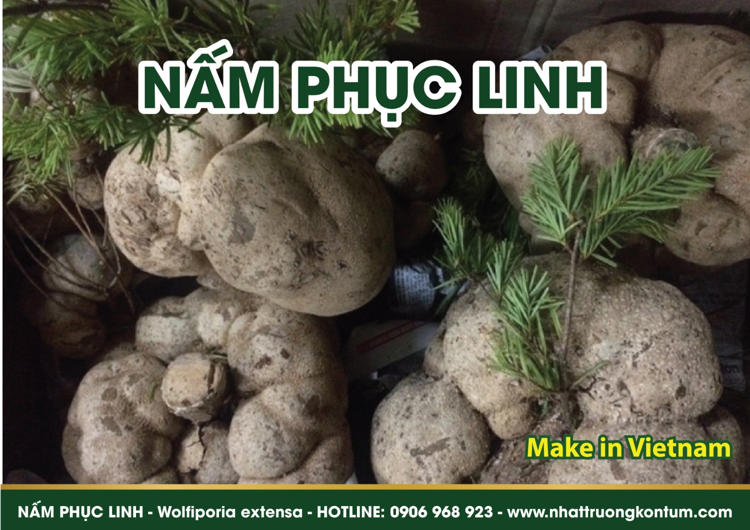 nam phuc linh nhat truong kon tum 01