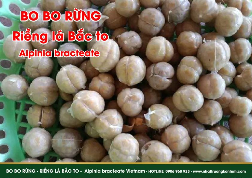 qua bo bo rung 04