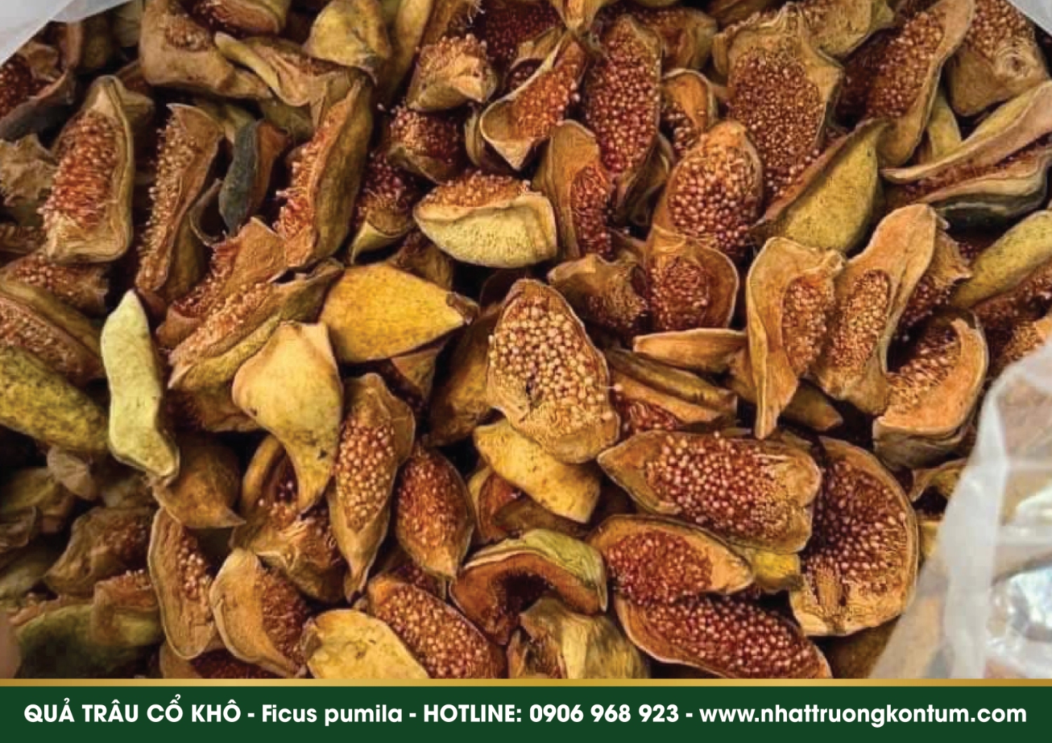 qua trau co nhat truong kon tum 03