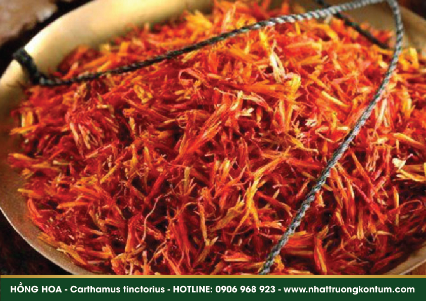 honghoa 02