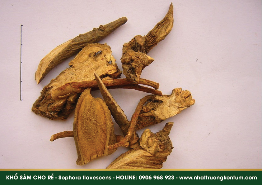 khosam 05