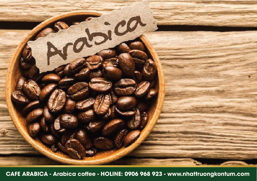 cafearabica 04