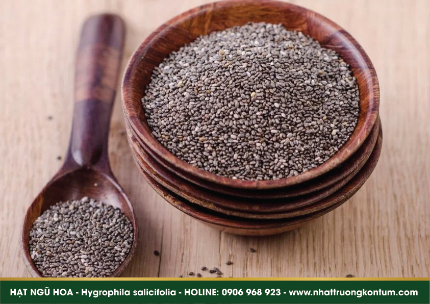 hatnguhoa 05